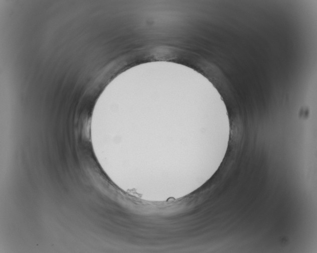 X0000112390046200909241249