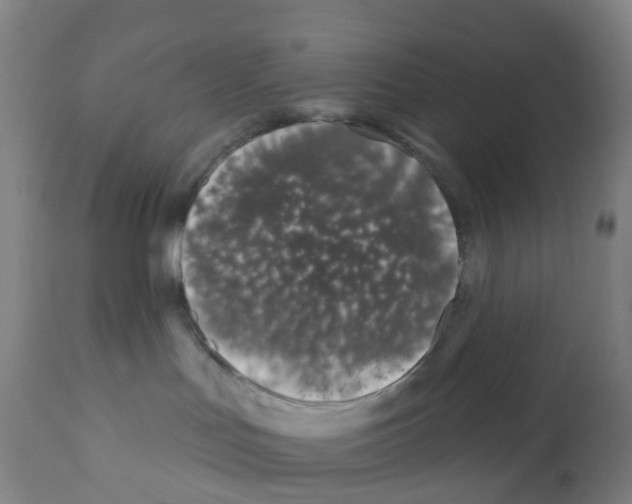 X0000112390047200909241249