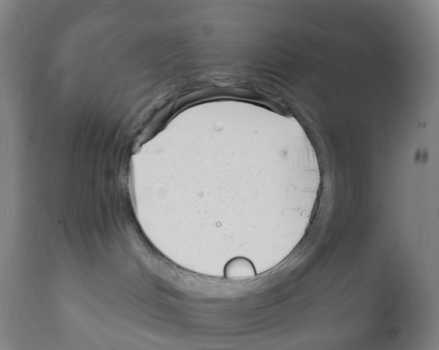 X0000112390048200909241249