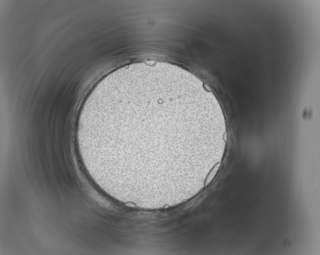 X0000112390049200909241248
