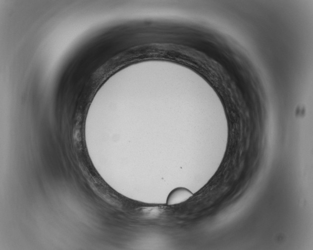 X0000112390050200909241248
