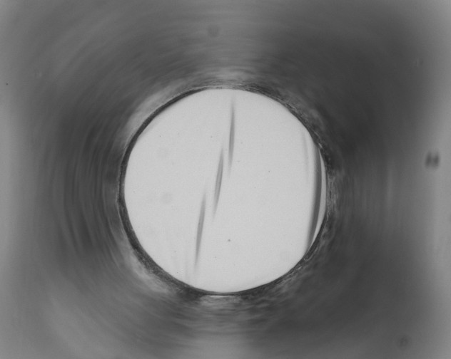 X0000112390051200909241248