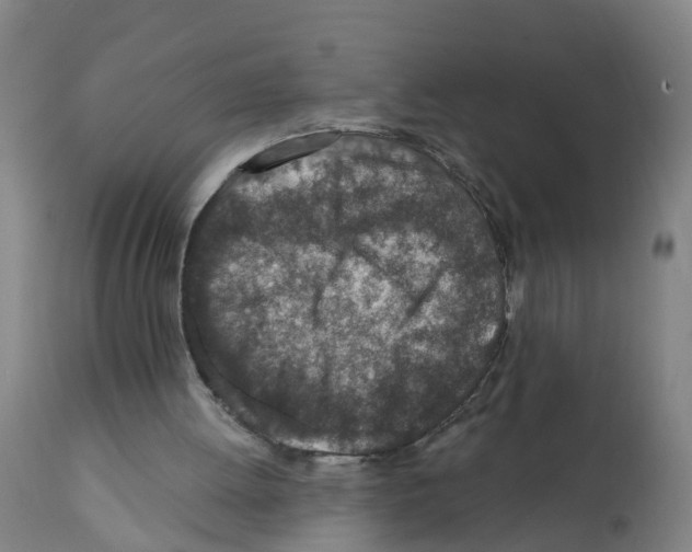 X0000112390052200909241248