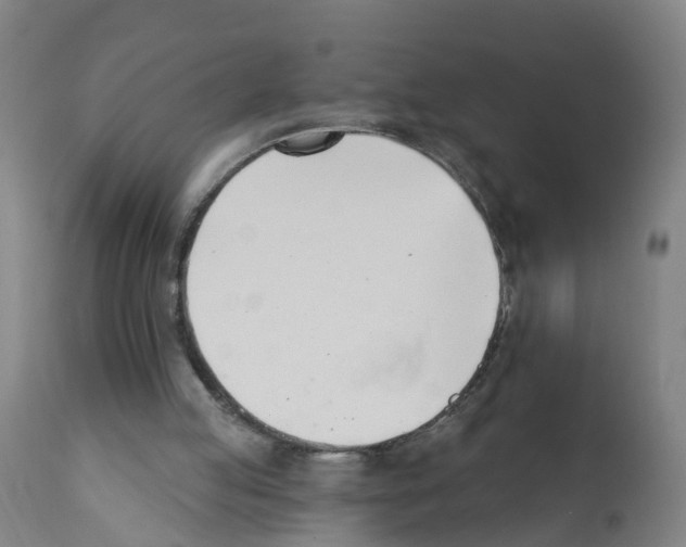 X0000112390053200909241248