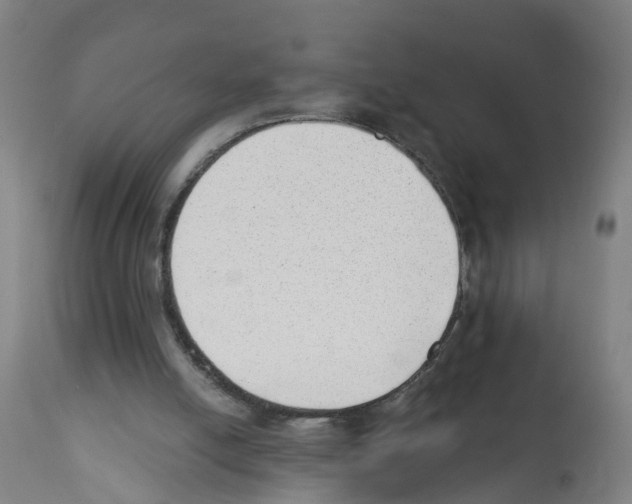 X0000112390054200909241248