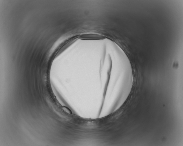 X0000112390056200909241248