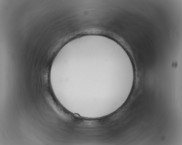X0000112390057200909241248