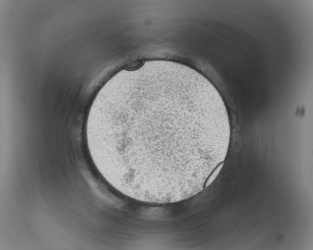 X0000112390058200909241248