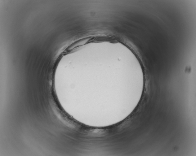 X0000112390059200909241248