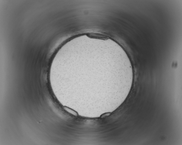 X0000112390060200909241248