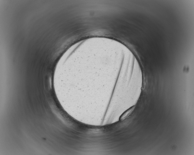 X0000112390061200909241248