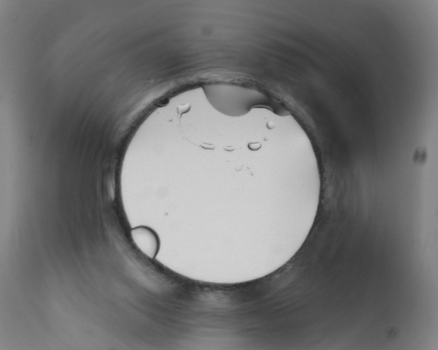 X0000112390062200909241248
