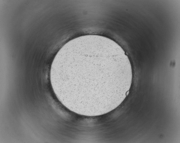 X0000112390065200909241248