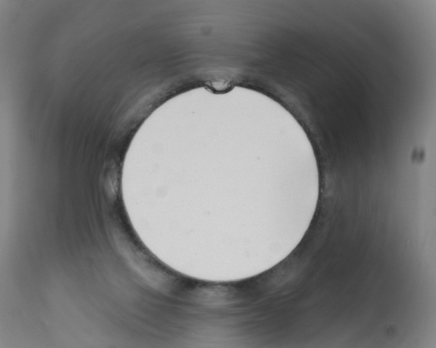 X0000112390069200909241248