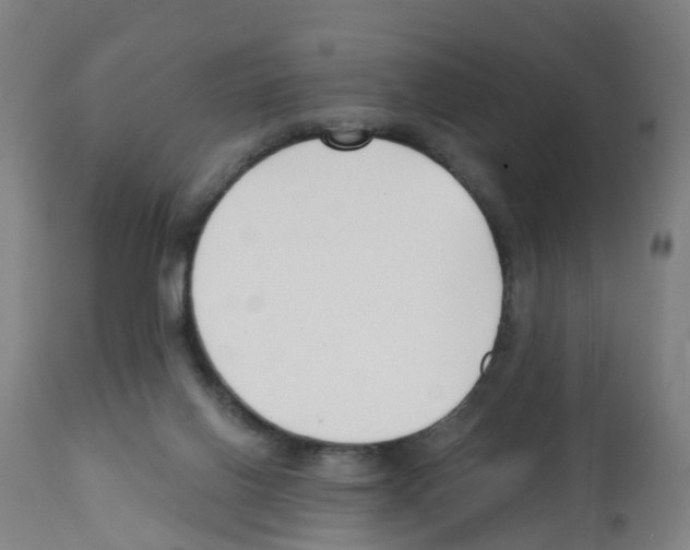 X0000112390070200909241248