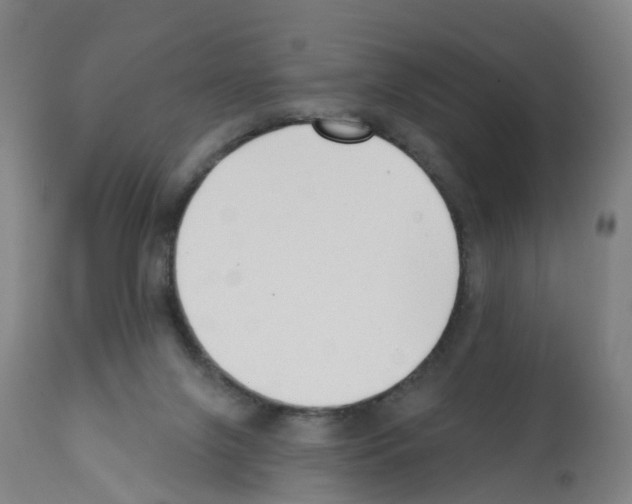 X0000112390071200909241249