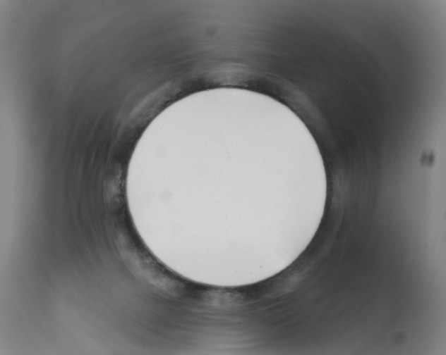X0000112390073200909241249