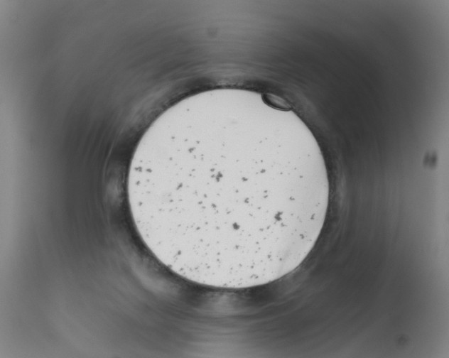X0000112390074200909241249