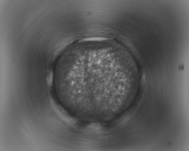X0000112390076200909241249