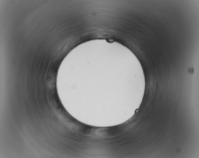 X0000112390078200909241249