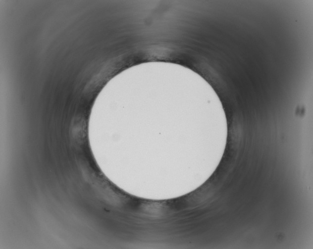 X0000112390079200909241249