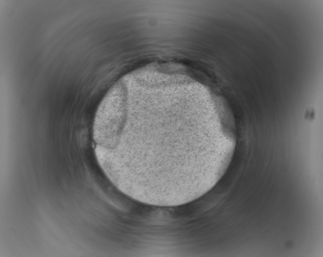 X0000112390080200909241249