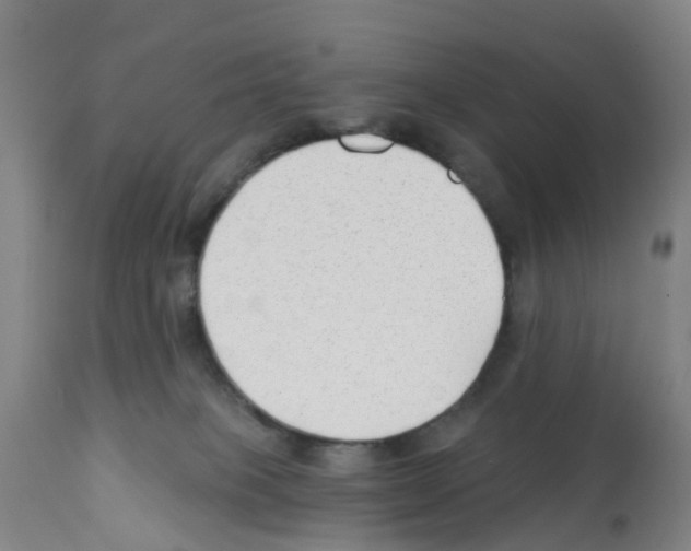 X0000112390085200909241249