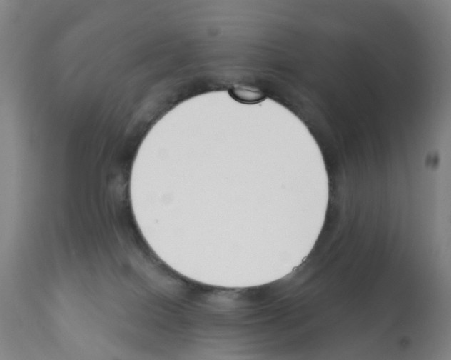 X0000112390086200909241249
