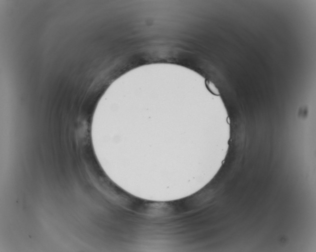 X0000112390087200909241249