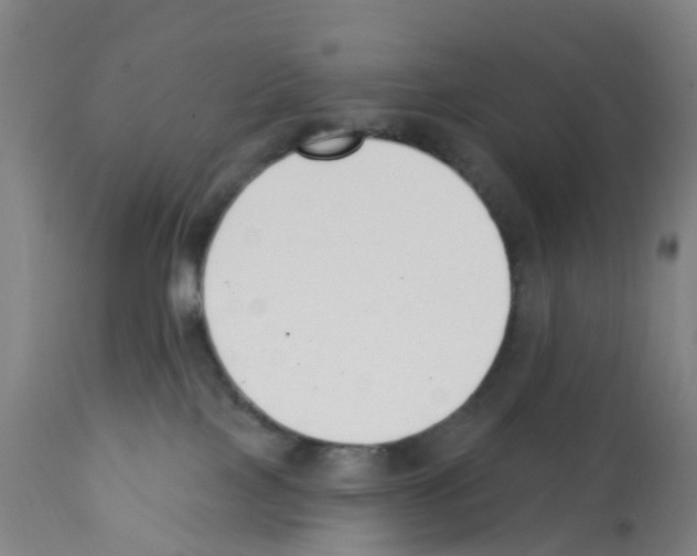 X0000112390089200909241249