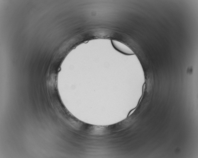 X0000112390093200909241249