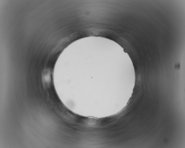 X0000112390094200909241249