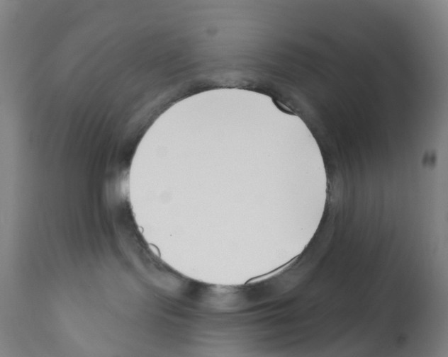 X0000112390095200909241249