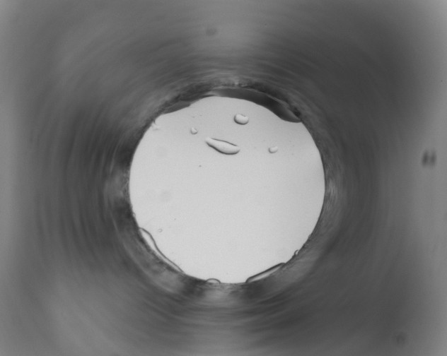 X0000112390096200909241249