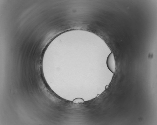 X0000112390098200909241248