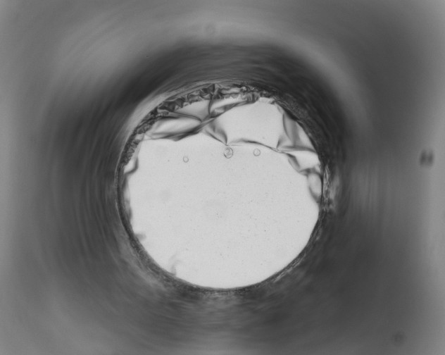 X0000112390099200909241248