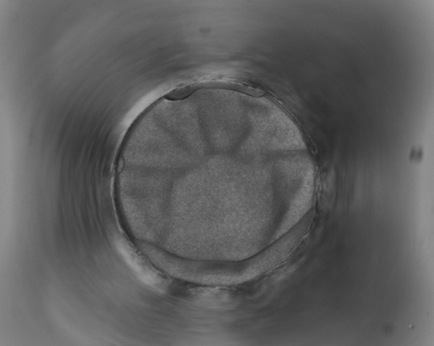 X0000112390100200909241248