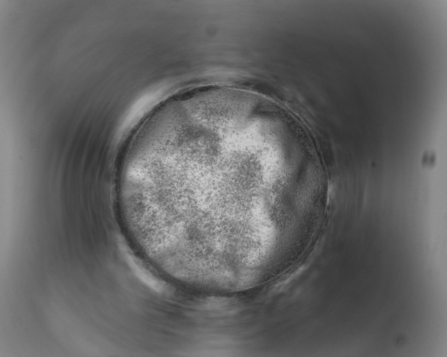 X0000112390101200909241248