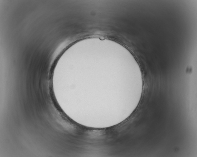 X0000112390102200909241248