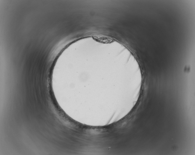 X0000112390103200909241248