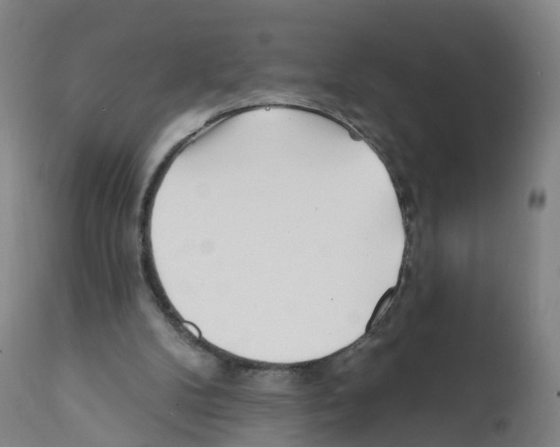 X0000112390104200909241248