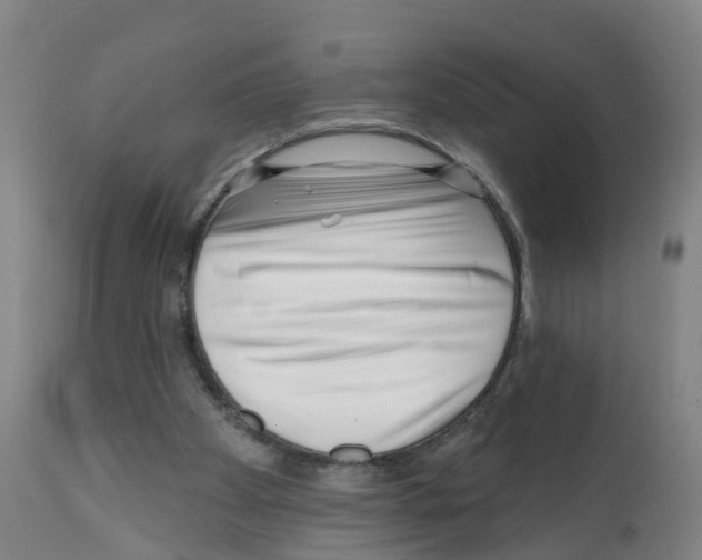 X0000112390105200909241248