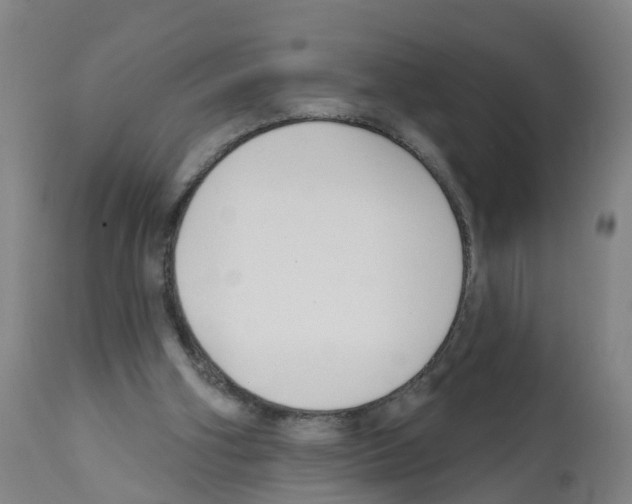 X0000112390106200909241248