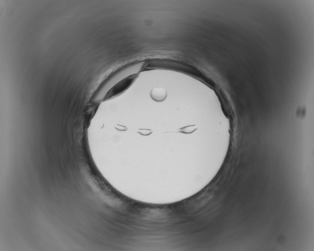 X0000112390107200909241248