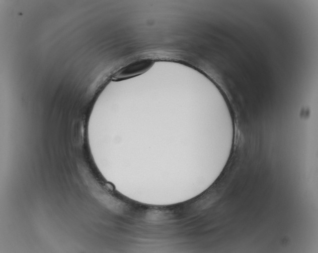 X0000112390109200909241248
