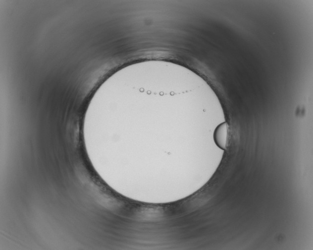 X0000112390110200909241248