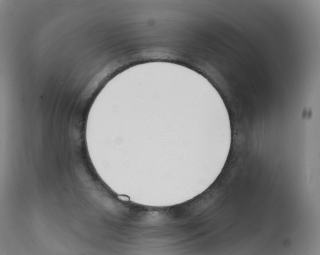 X0000112390111200909241248