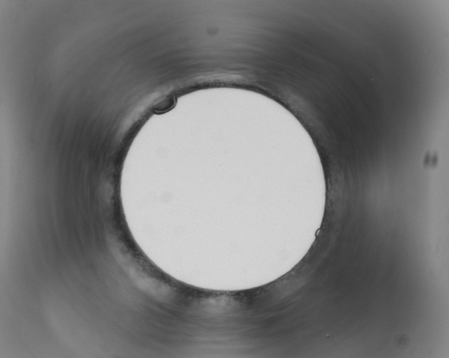 X0000112390112200909241248
