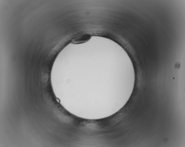 X0000112390113200909241248