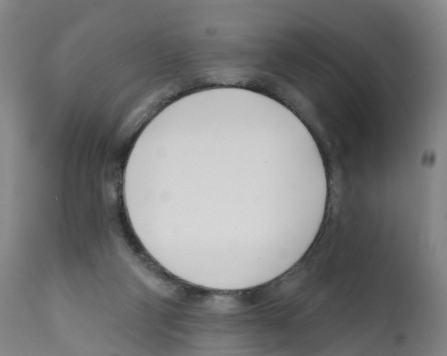 X0000112390114200909241248
